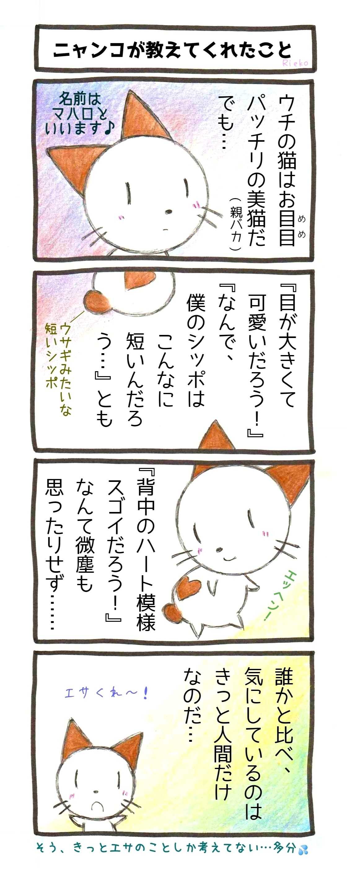 猫マンガ Riekoの漫画 楽天ブログ