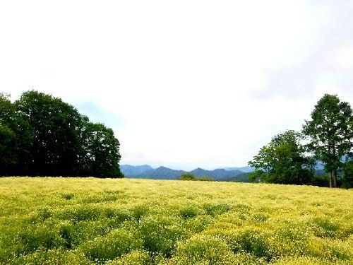 rblog-20180531223938-03.jpg