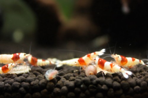 20140929b.JPG