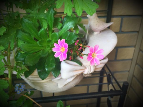 rblog-20160426175049-05.jpg