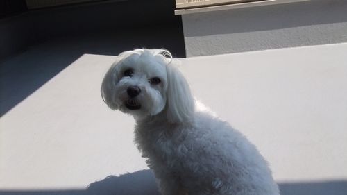 ひなたぼっこ＾＾