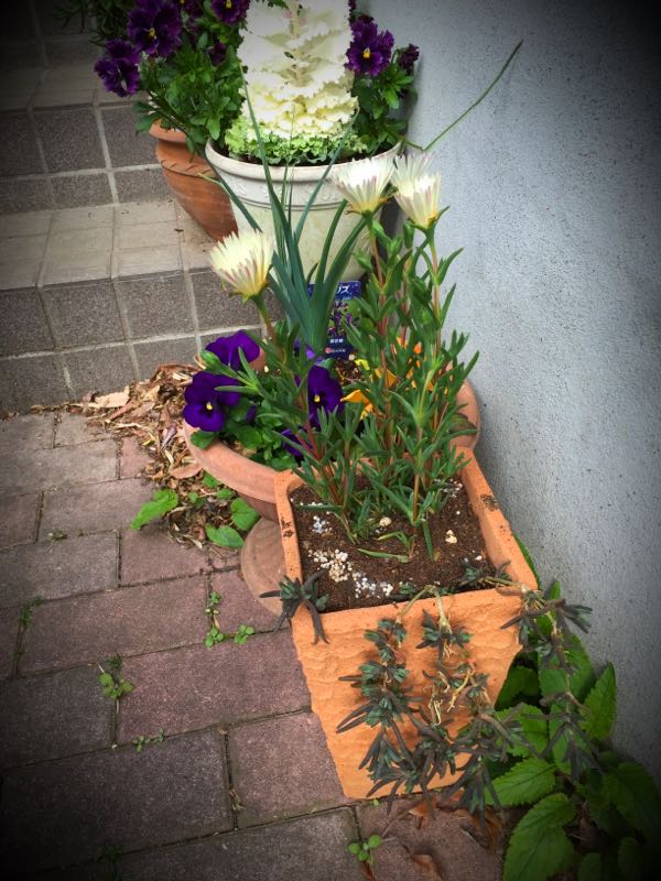 rblog-20160331165438-01.jpg