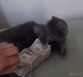 Don't Touch my money.gif
