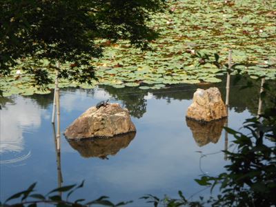 龍安寺