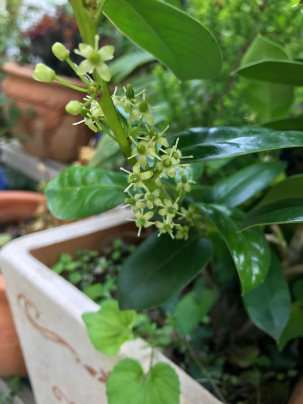 rblog-20180408160645-06.jpg