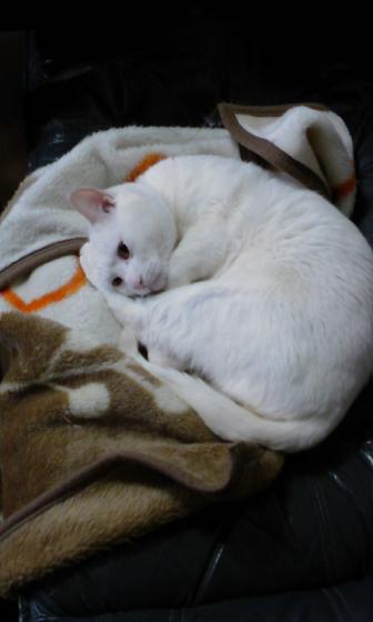 110320_1431~02.jpg