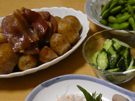 P1000824.JPG