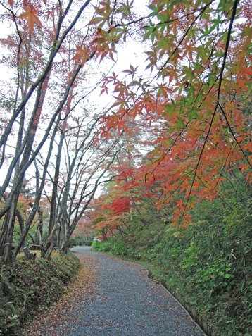 m1.jpg