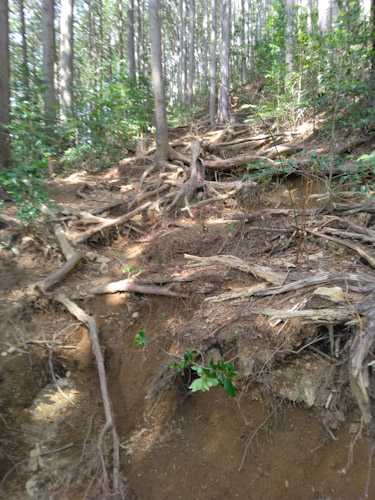 リハビリ登山は奥武蔵越生町の越上山(おがみやま)566m | やっぱり山と花が好き - 楽天ブログ
