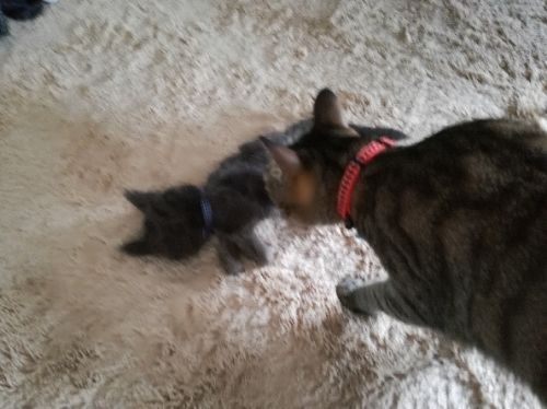 rblog-20170702210655-01.jpg