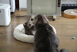 5DA_3422-31.jpg