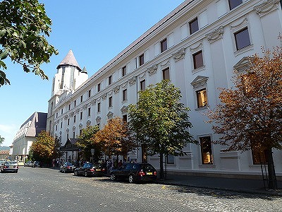 P1040115.jpg