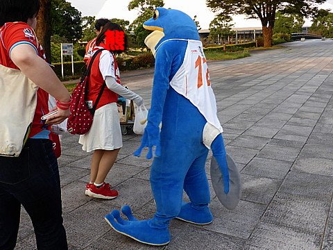 P1290843.jpg