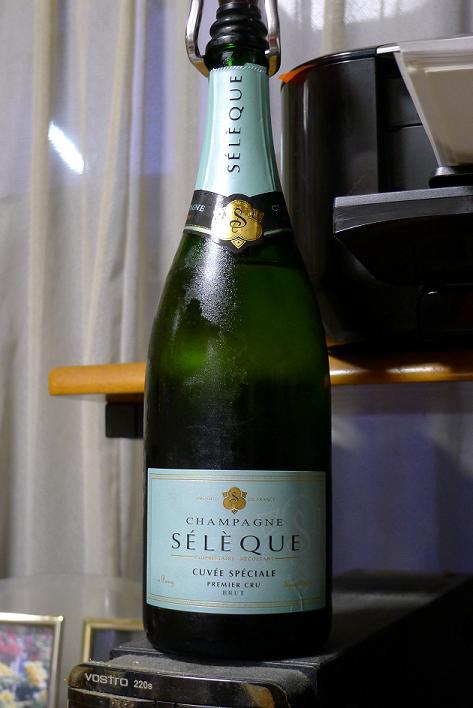 P1010088.JPG