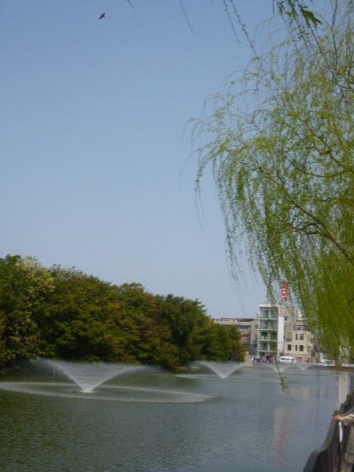 P1100227(1).JPG