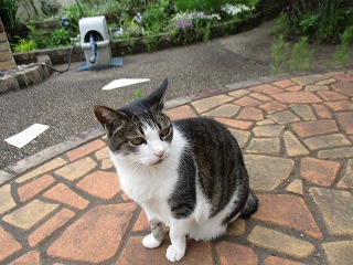IMG_0548ss.jpg