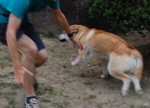 DSC_0068.JPG