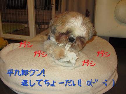 IMG_1808-m-m.jpg