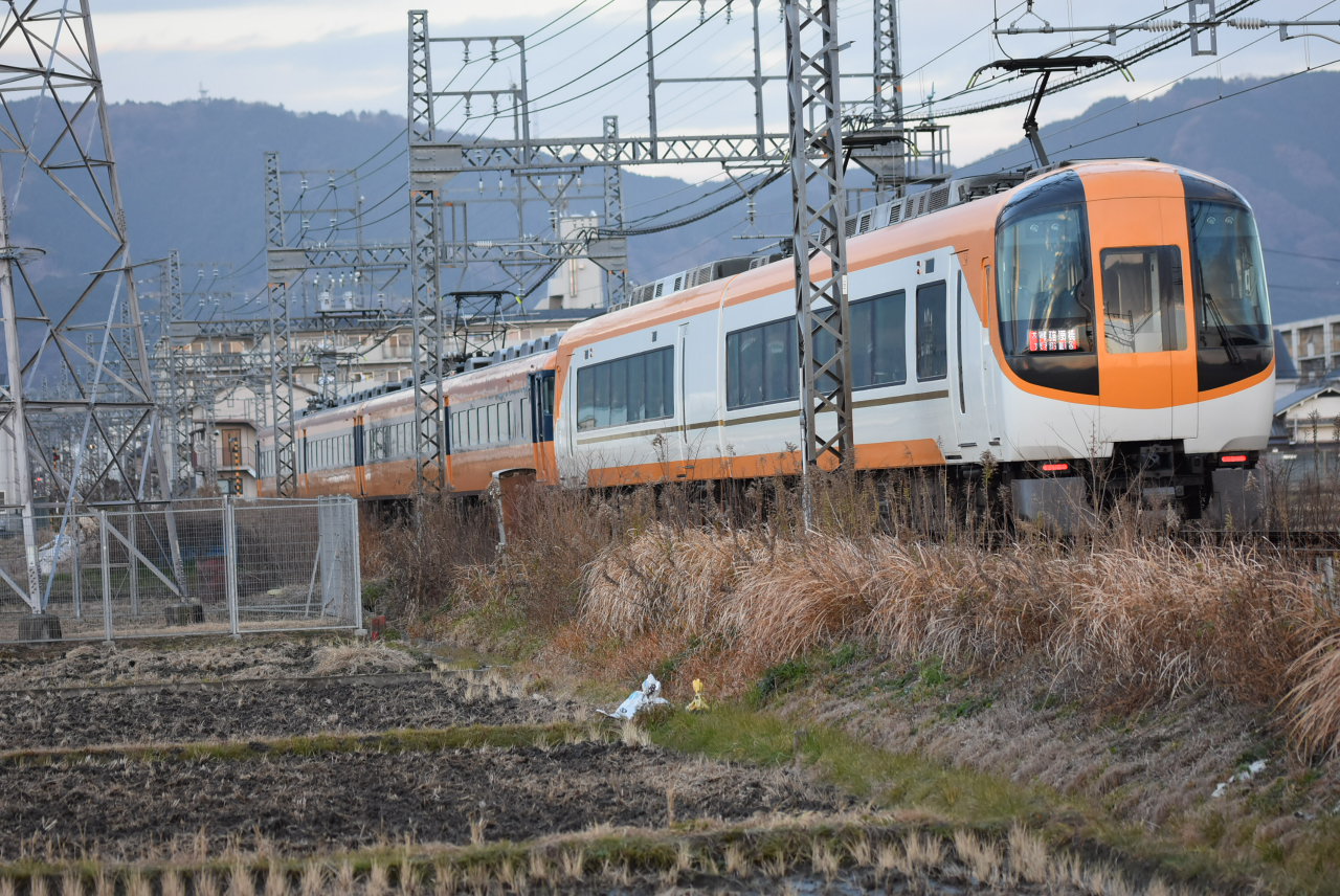 DSC_5905.JPG