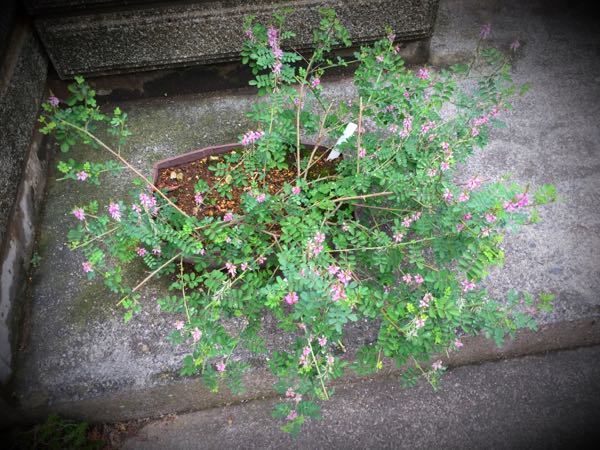rblog-20160828213141-01.jpg