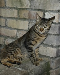 5DA_4805-20.jpg