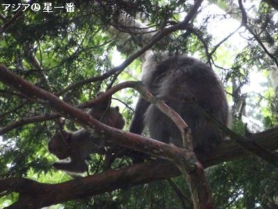 20160704 上高地17