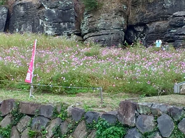 rblog-20171022163645-07.jpg
