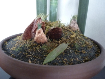 P1070026-002.JPG
