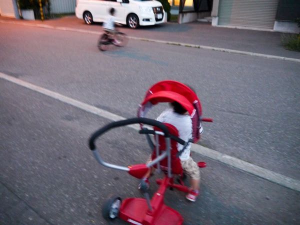 自転車 子供用前椅子 ムシ刺され