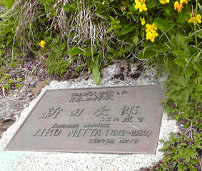 nitta.jpg