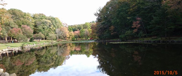 １０／５鹿公園の池.jpg