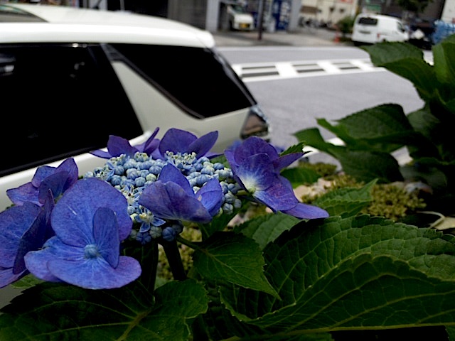 120705_135157.jpg