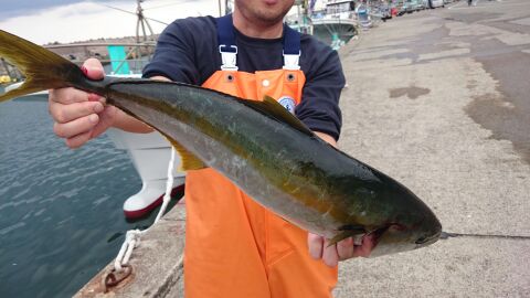 rblog-20150924133737-02.jpg