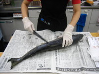 Photo_2