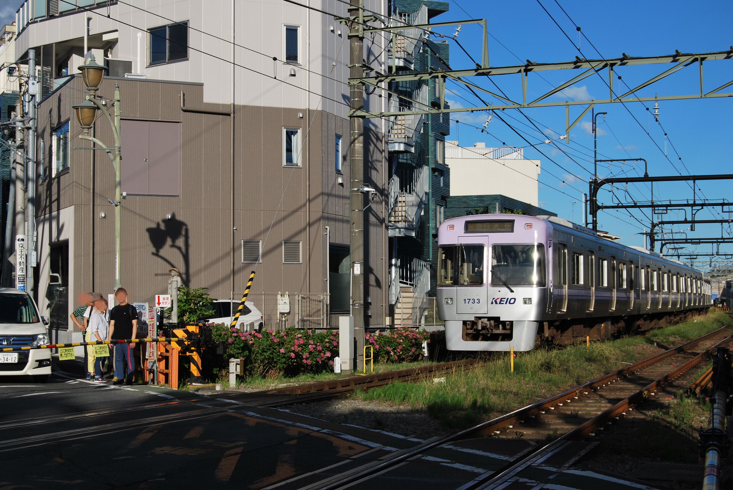 鉄道スケッチ 井の頭線とアジサイ みゃあみゃあのトーク トーク 楽天ブログ