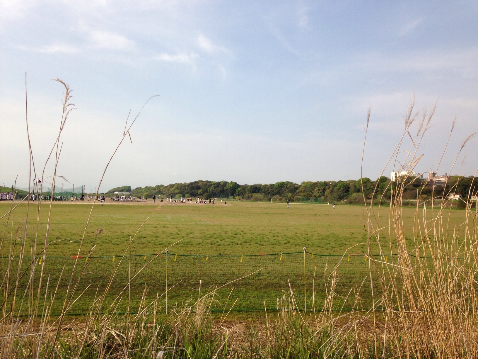 小岩側から里見公園