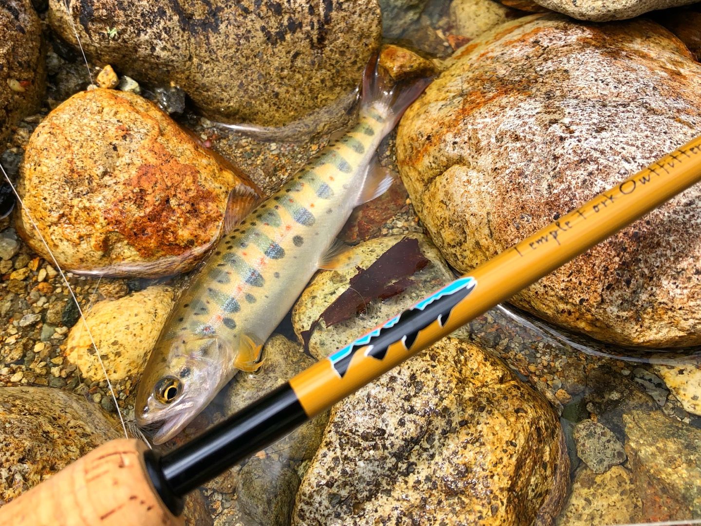 Flyfishing 釣り 飛騨ふらい工房 楽天ブログ