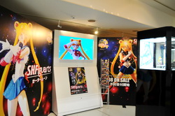 akiba130504k.JPG