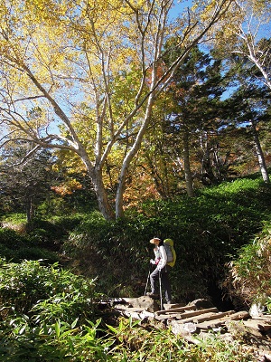 DSCN5950s.jpg