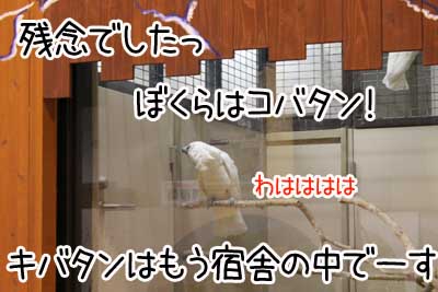 夜１７.JPG