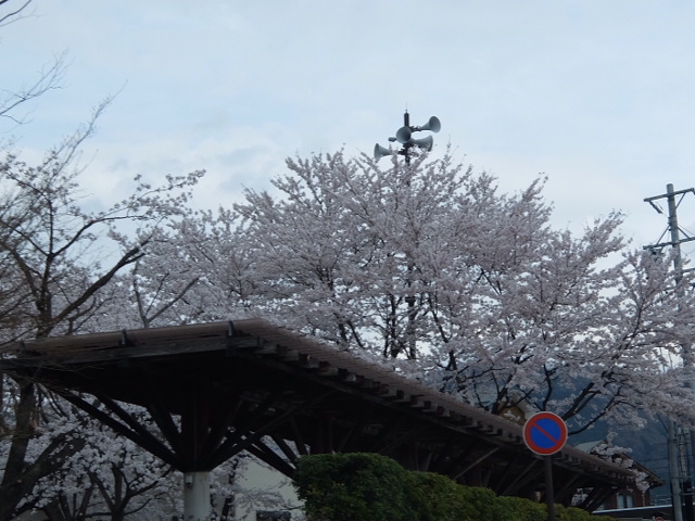 DSCF1048.JPG