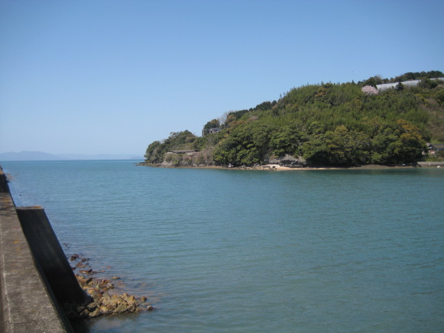IMG_7959.JPG