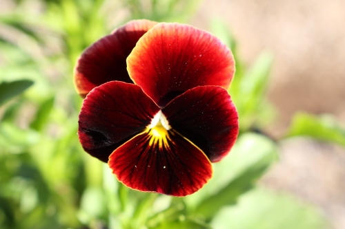 20160331004.JPG
