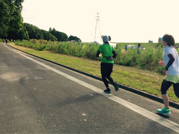 rblog-20150920114143-05.jpg