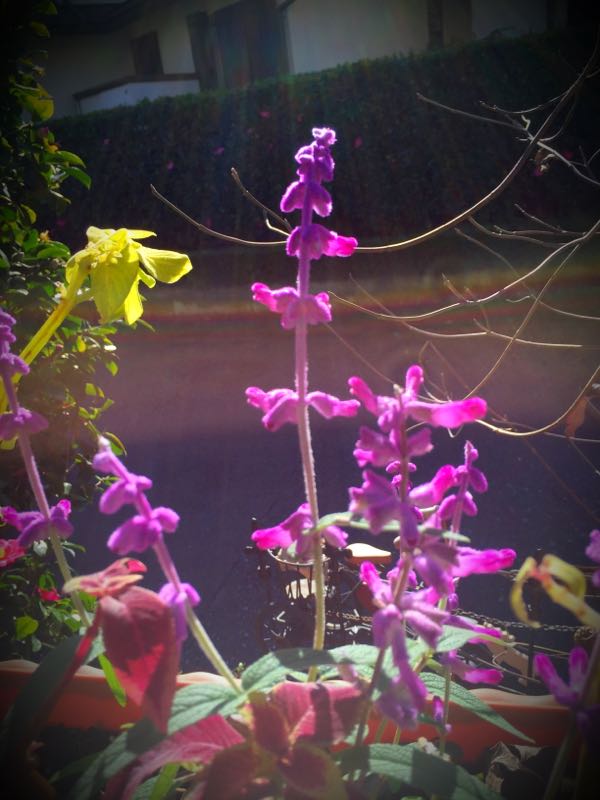 rblog-20151127134956-02.jpg