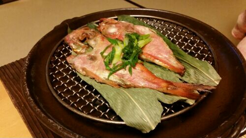 rblog-20160407114446-04.jpg