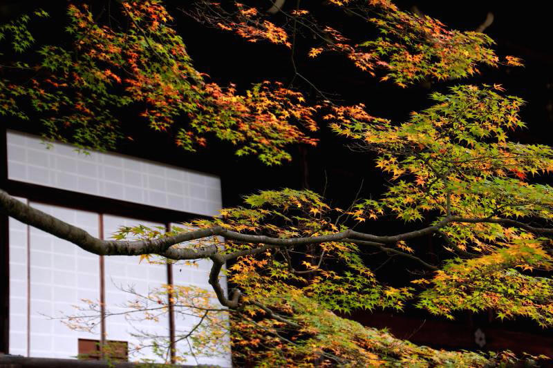 光明寺_004.jpg
