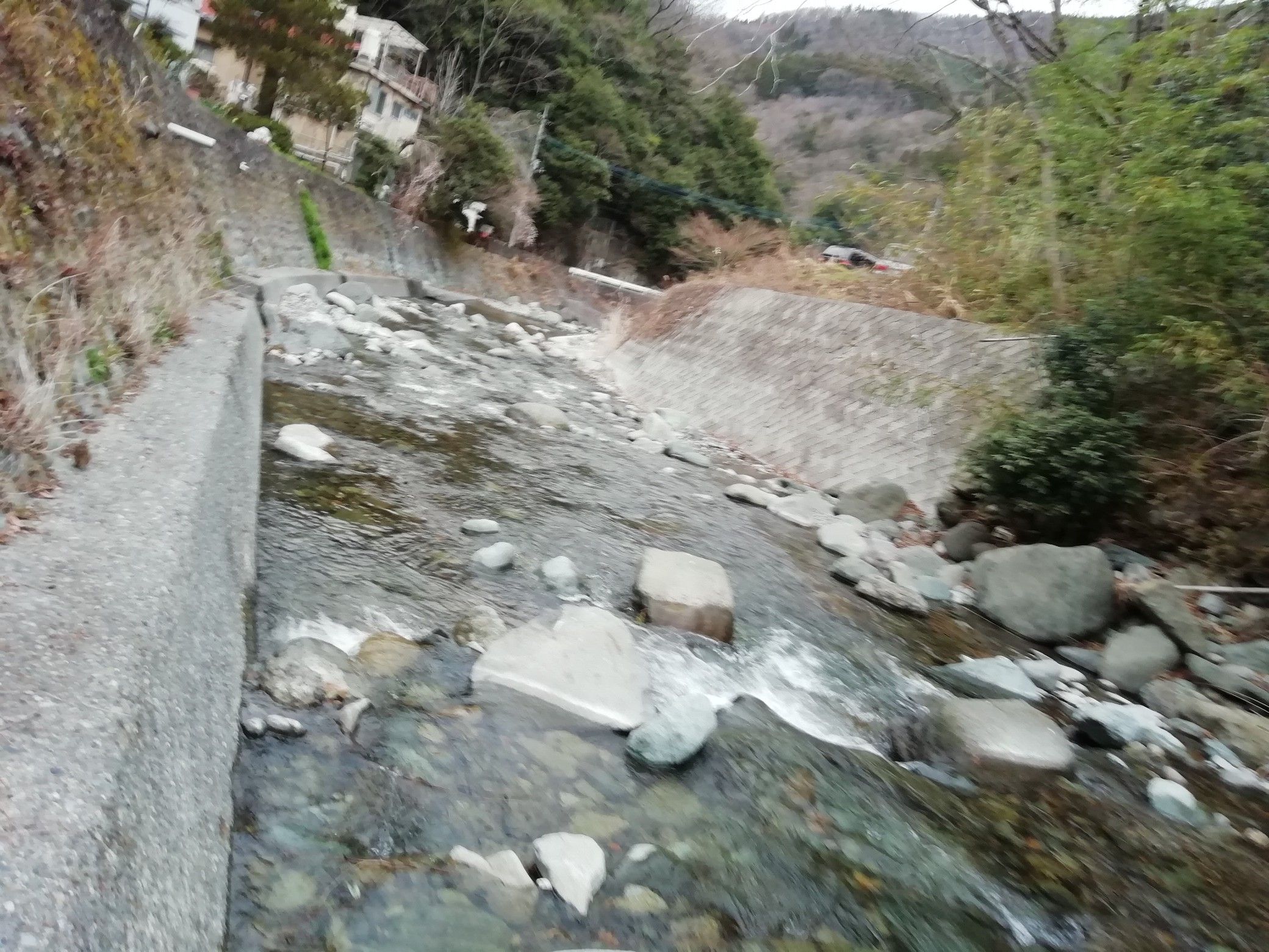 山梨 釣り はやとの釣りブログ 楽天ブログ