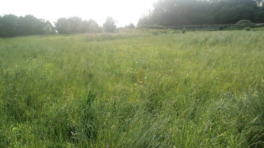 rw_120702_171256.jpg