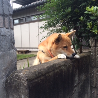 プーちゃん１.jpg